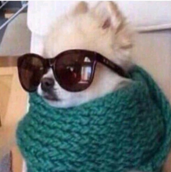 Meet your Posher, Jay - Picture 1 of 1